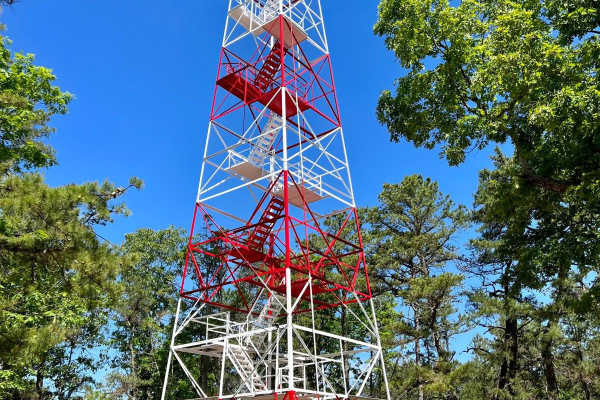 Batsto Fire Tower to Quaker Bridge