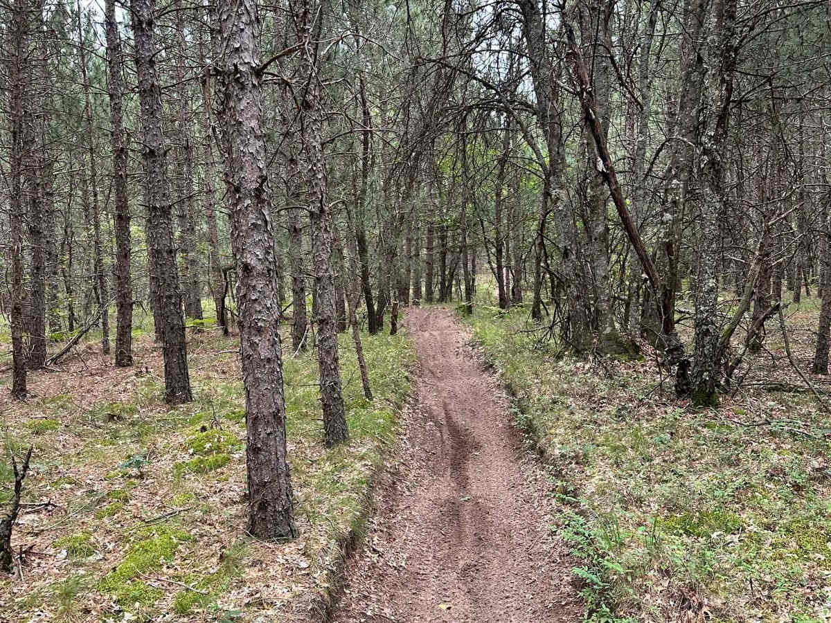 Little Manistee/Lincoln Hills Connector - Motorcycle Trail photo 5