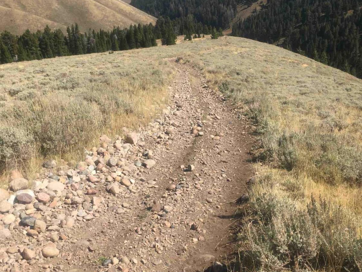 West Modoc Creek Trail trail photo