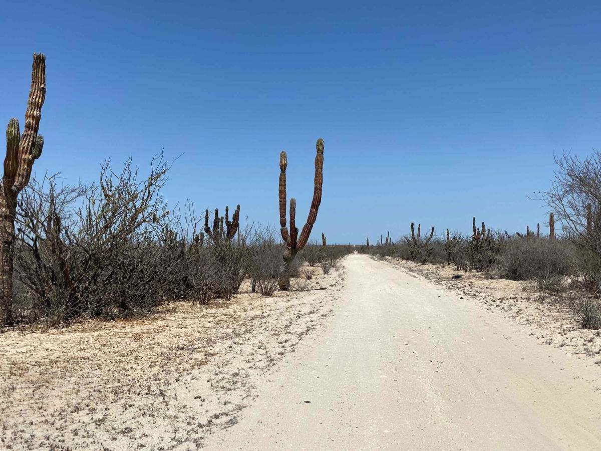 Lomita Amarilla North trail photo