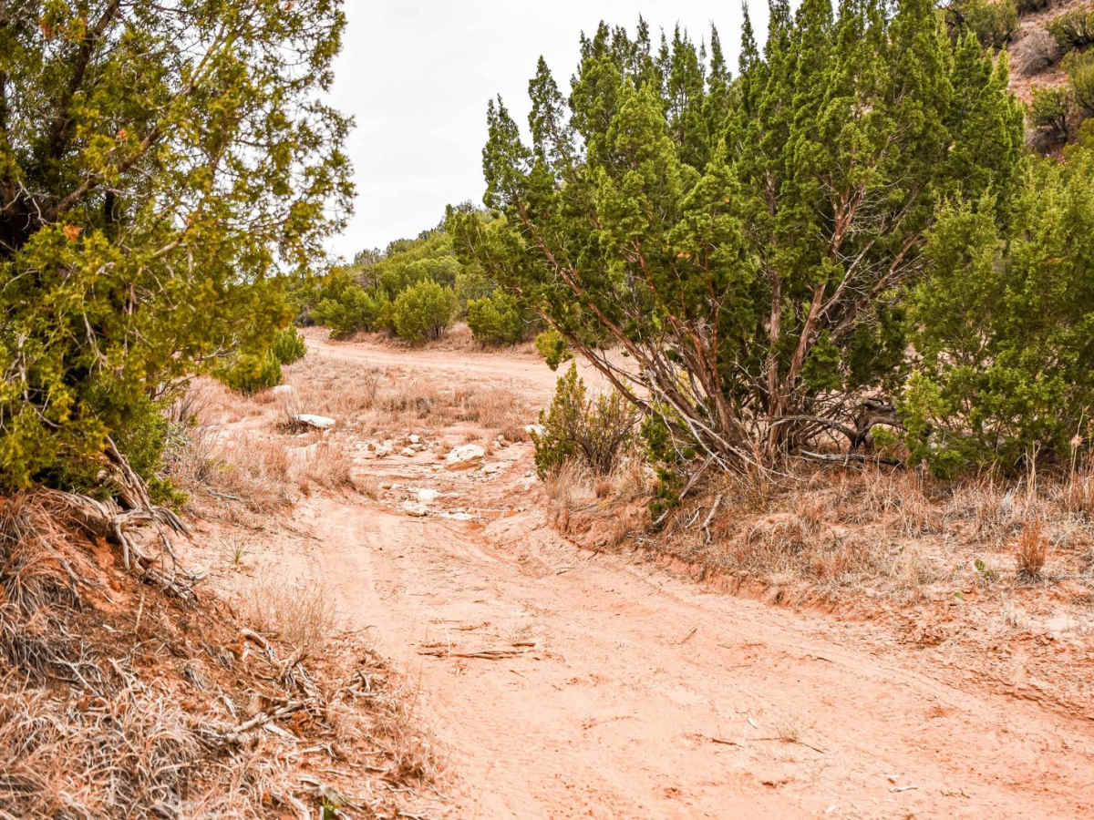 Boots Off Camp Trail photo 5