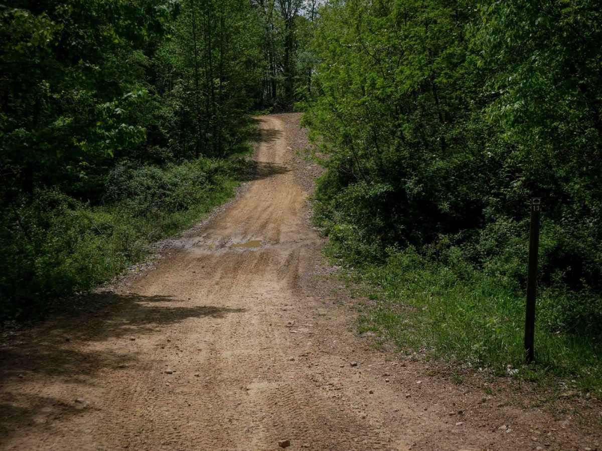 PC 13 photo 2