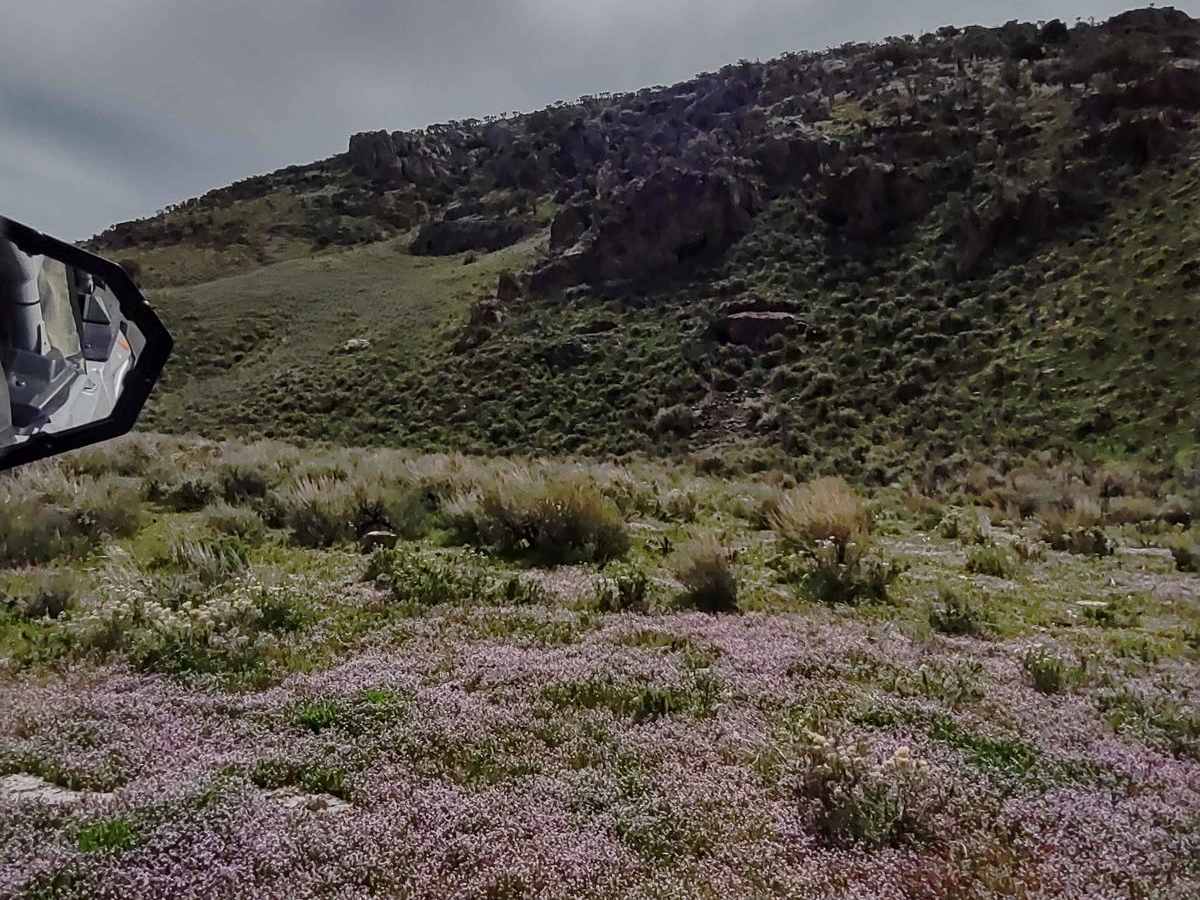 Appendicitis Hill WSA Loop photo 3
