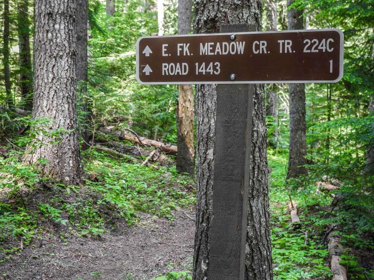 224C trail photo