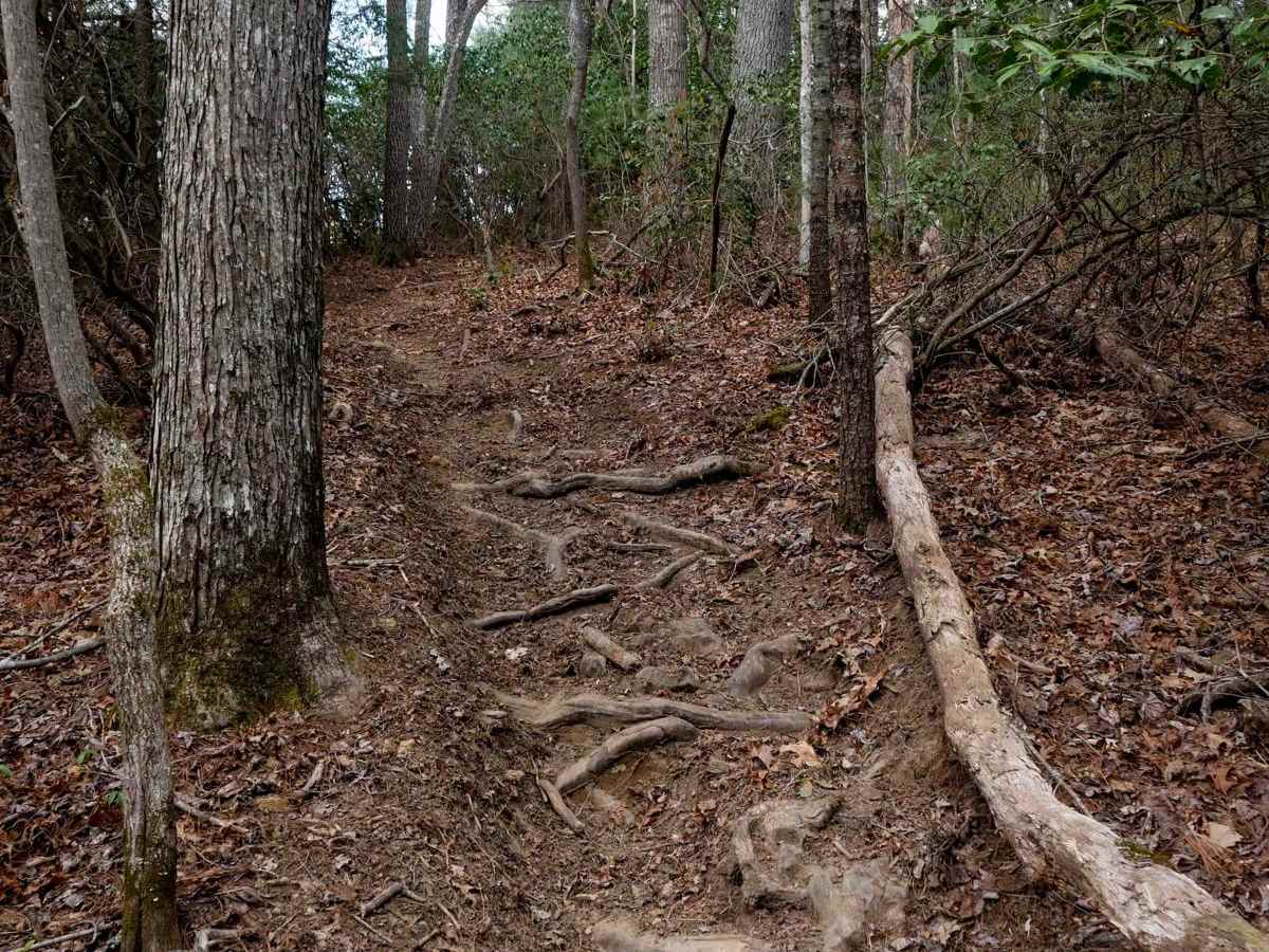 A1 trail photo
