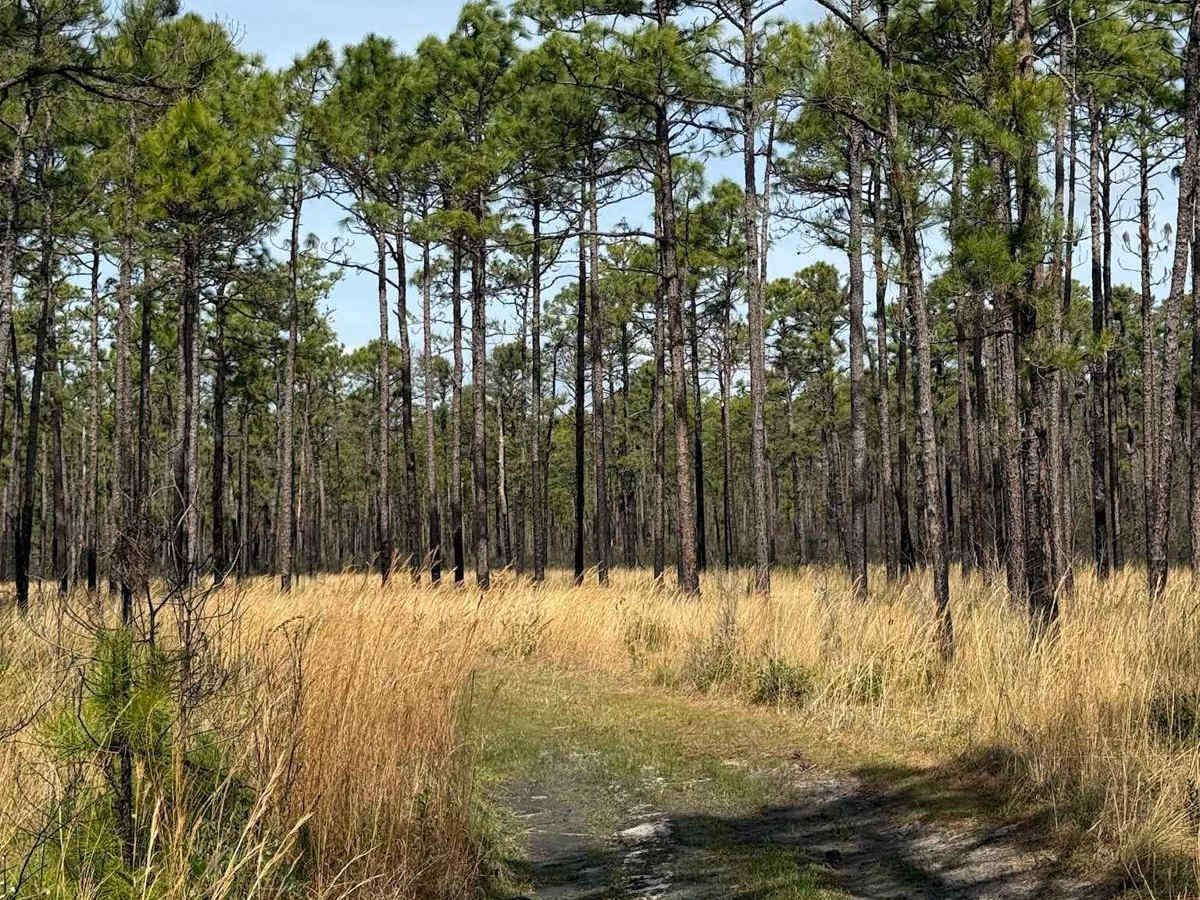 Pettiford Creek Trail 14 photo 4