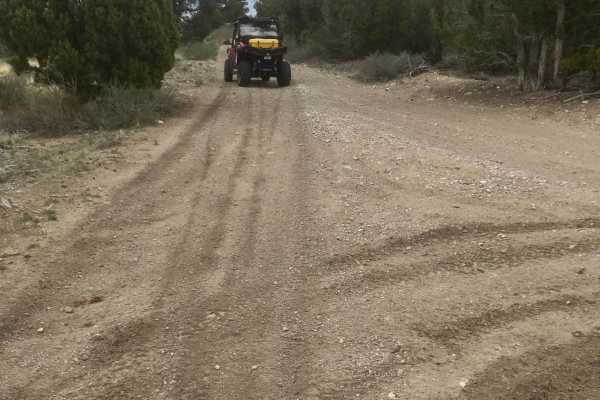 Ice Plant Road