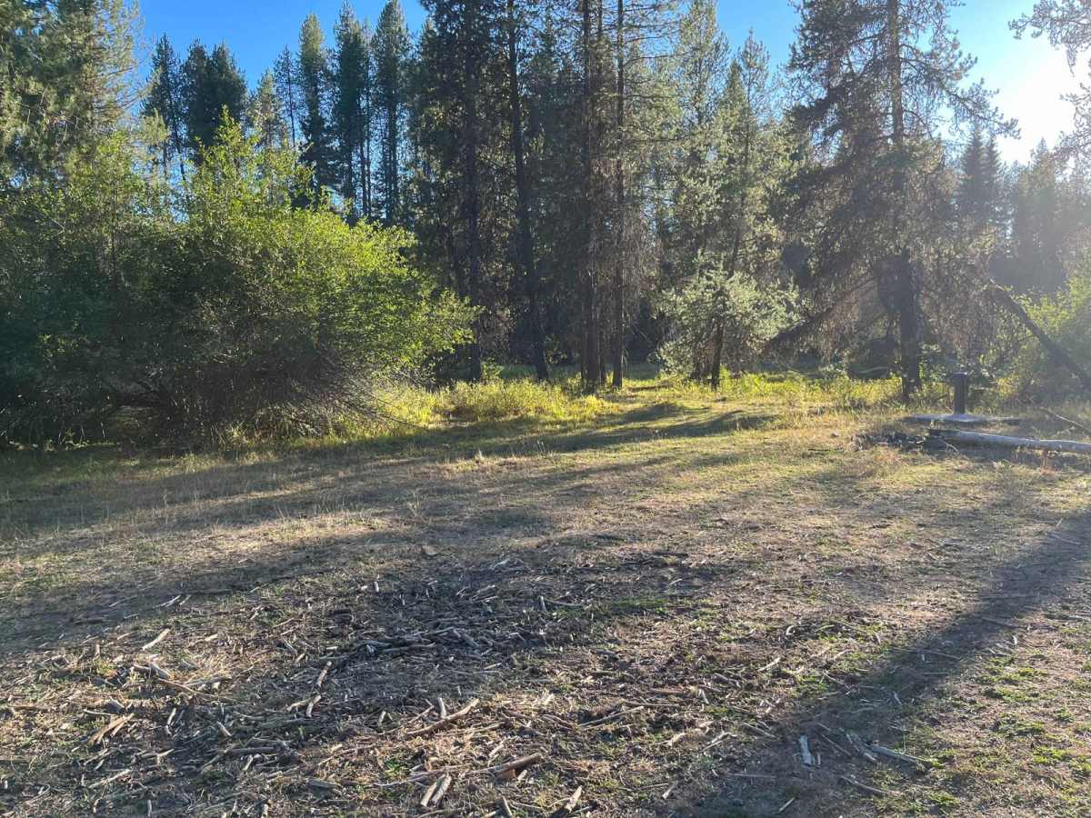 Moose Creek Campground Cutoff photo 3