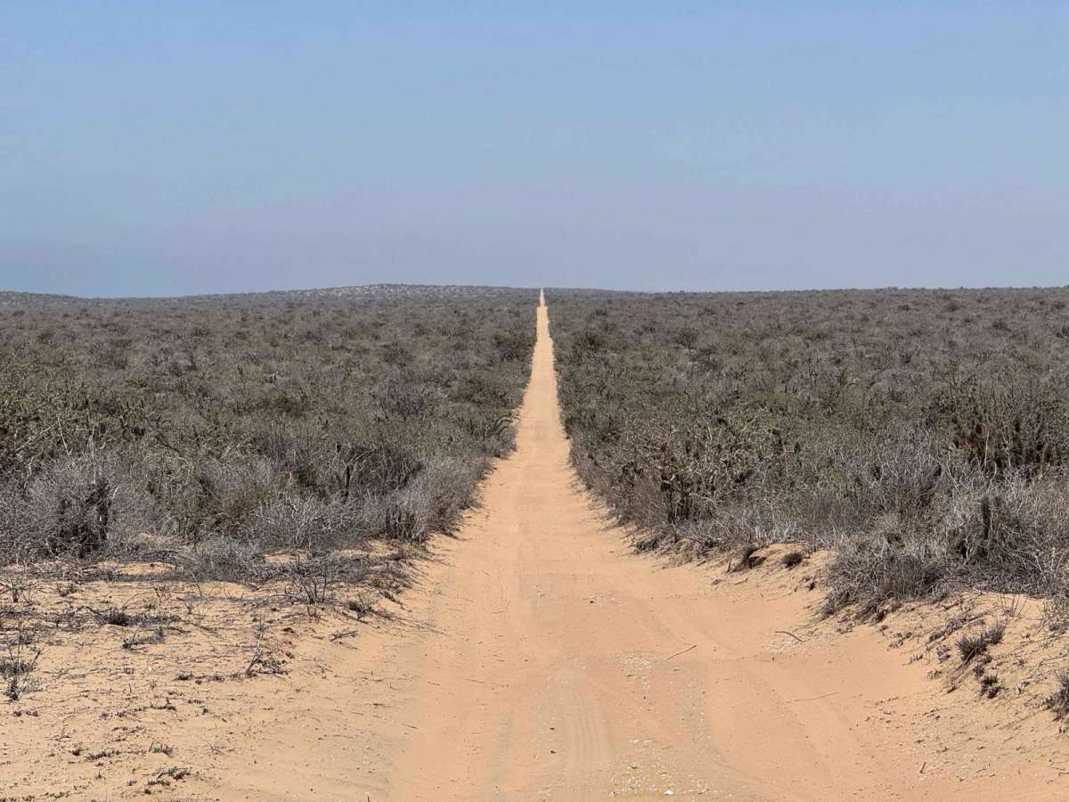 Campo Vicente Access photo 5