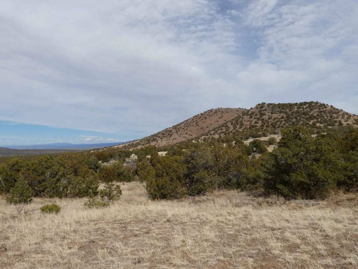 Twin Hills Loop photo 6