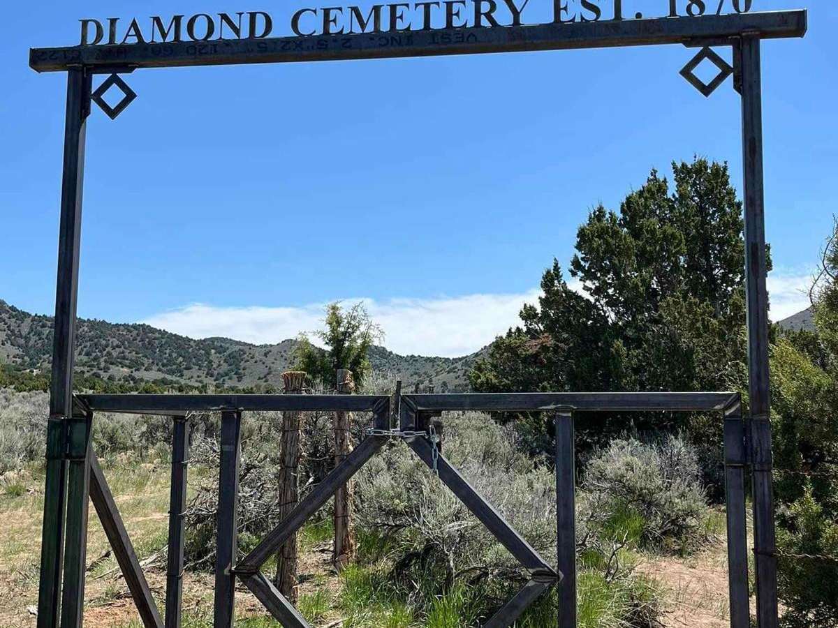 Cemetery Loop trail photo
