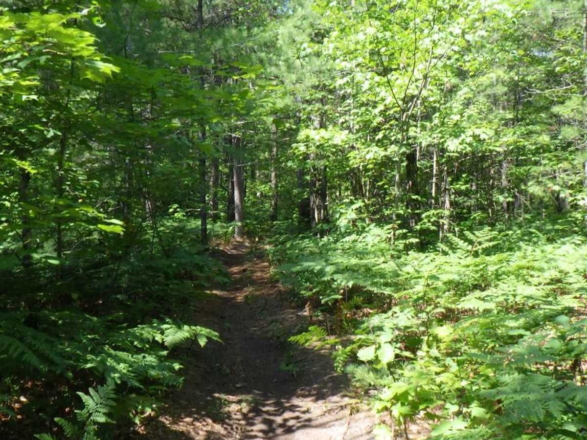 Bay City Lake ATV ORV Trail photo 5