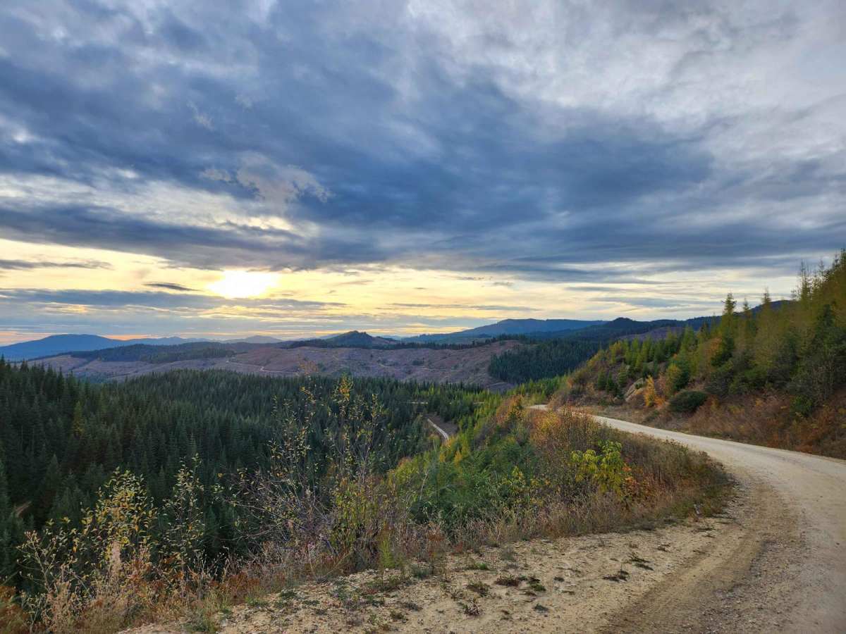 Clarkia Marble trail photo