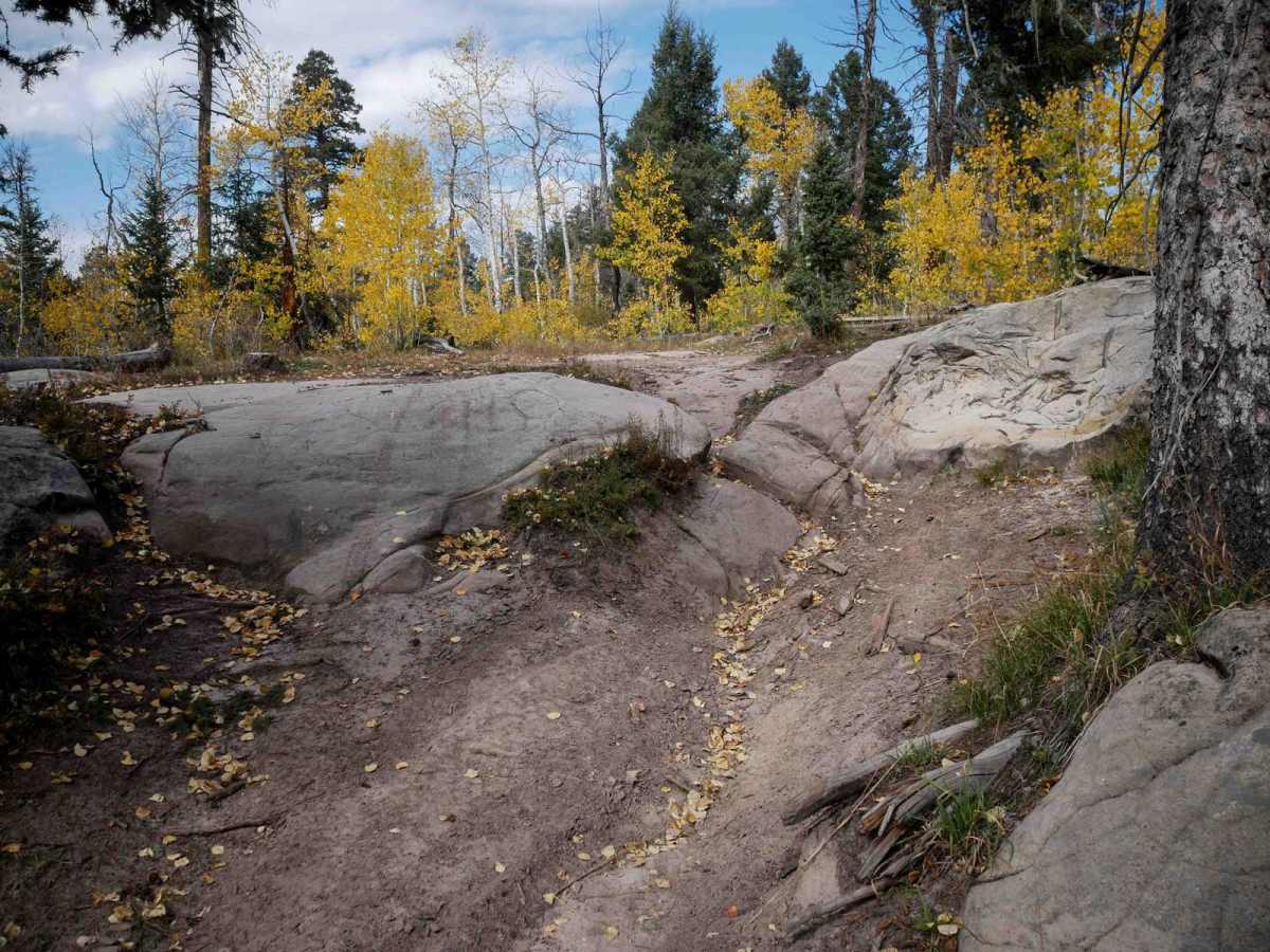 Middle Mountain trail photo