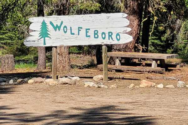 Camp Wolfeboro