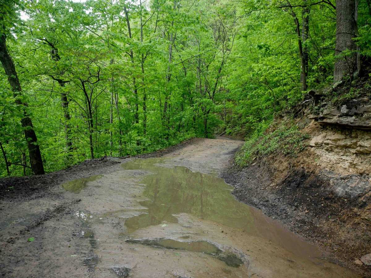 RH 19 photo 6