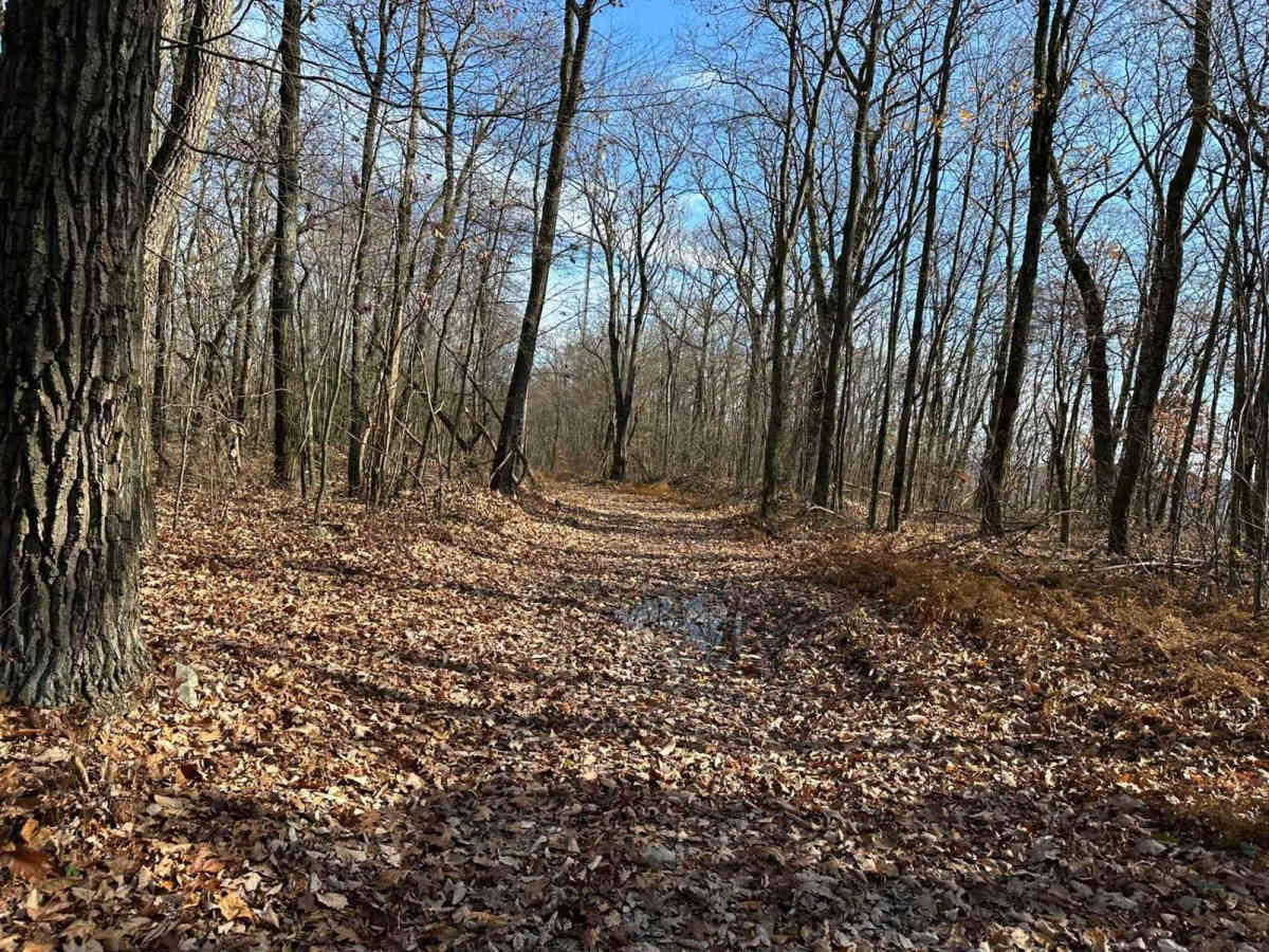 Ashland 169 photo 5