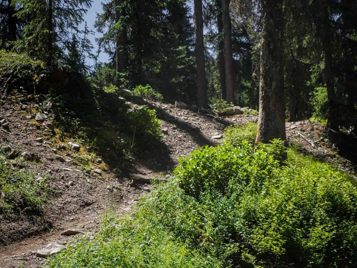East Fork Trail photo 6