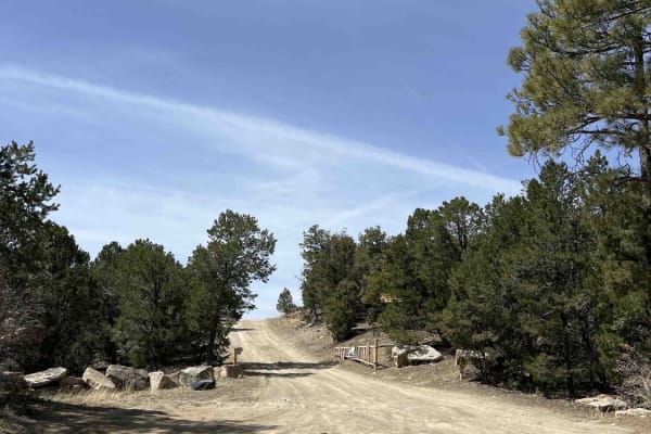 Bull Creek 86