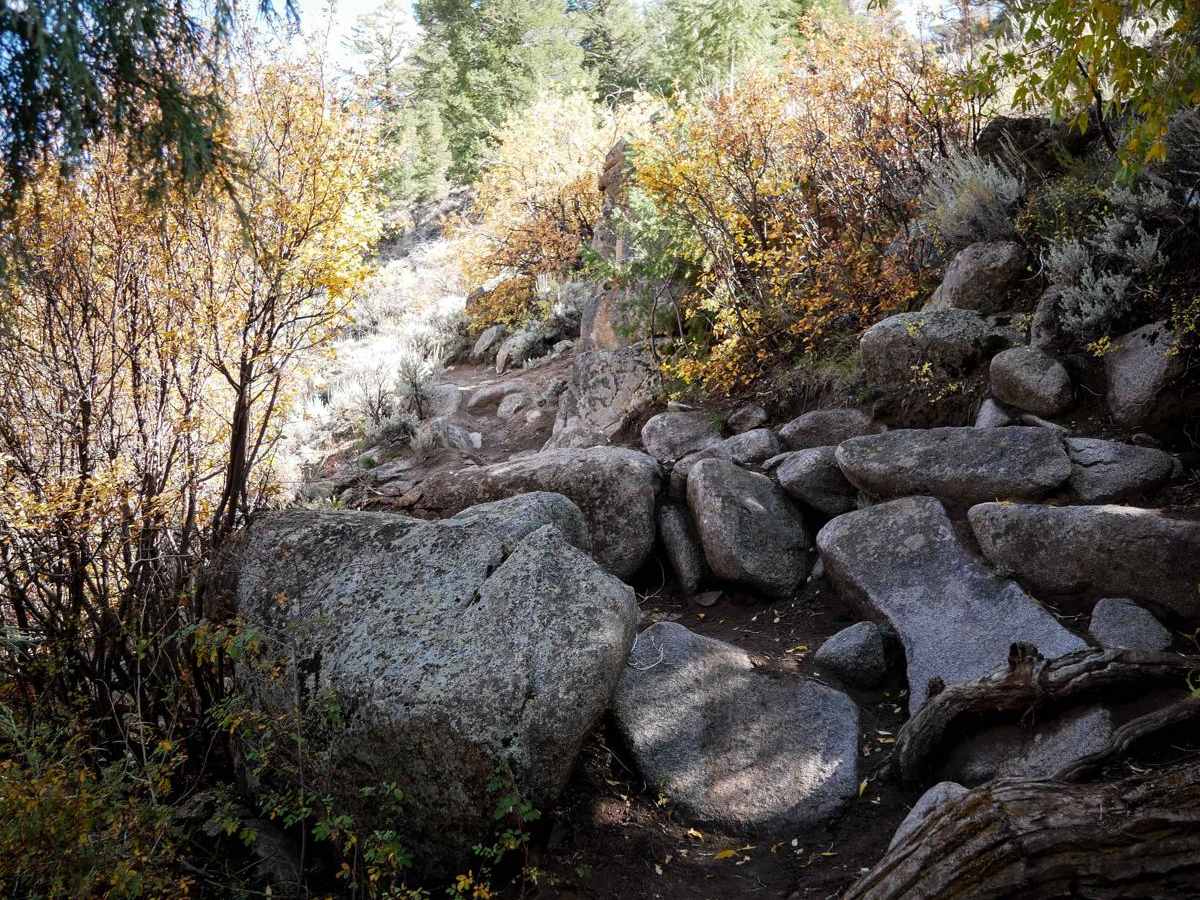 Aberdeen Connector trail photo