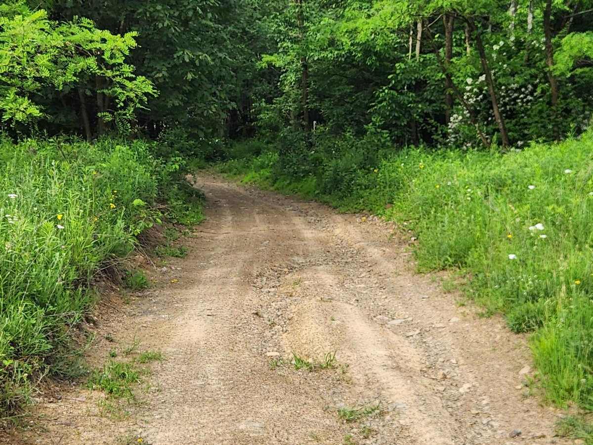 CW Road - Rock Run Recreation Area photo 3