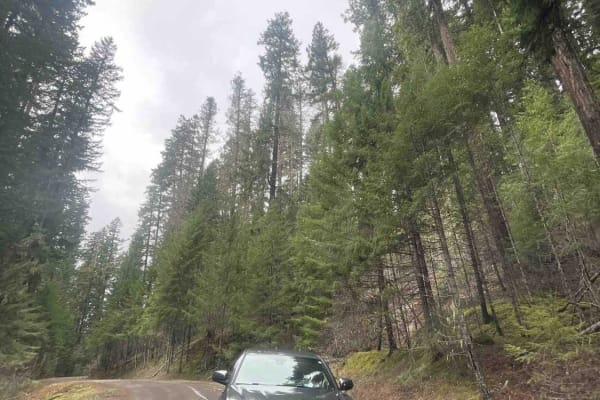 National Forest Development Road 4660