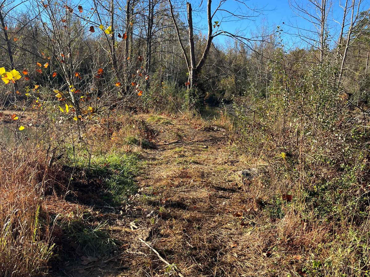 Open Ponds Trail photo 2