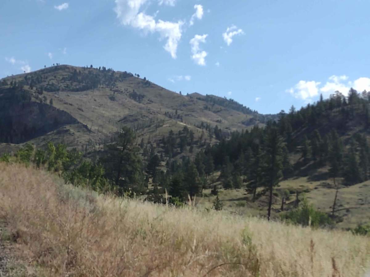 Magpie Gulch trail photo