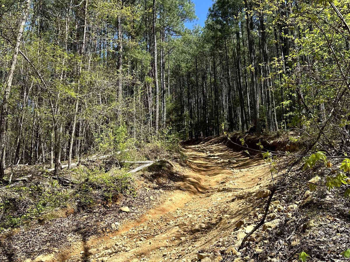 Trail 25 photo 3