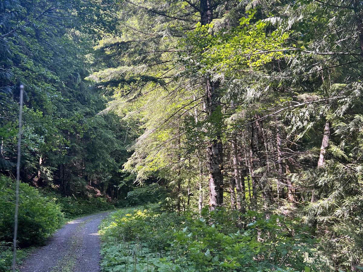 Ocean Coast Overlook Trail photo 4