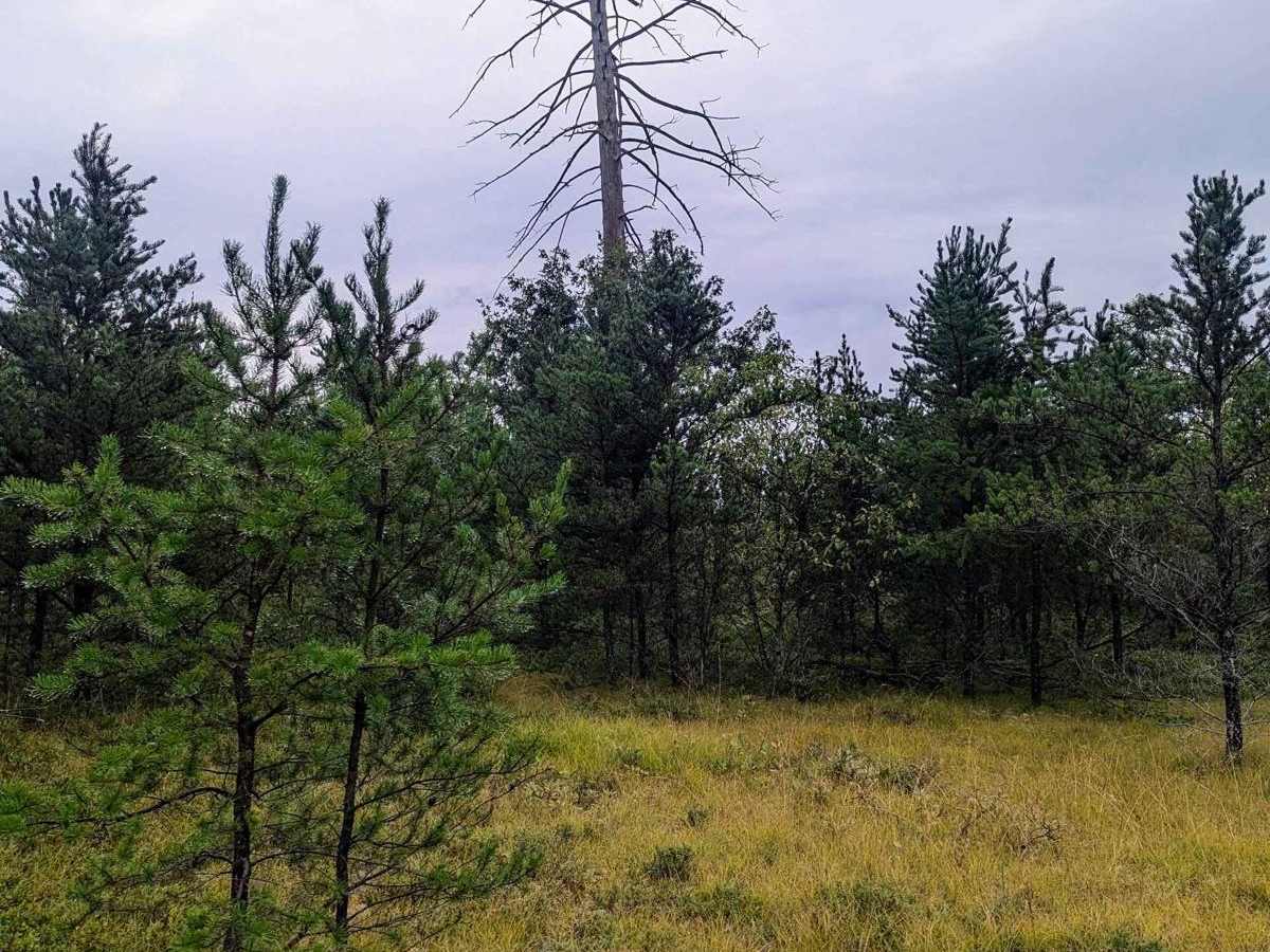 Huron NFS 3063 photo 6