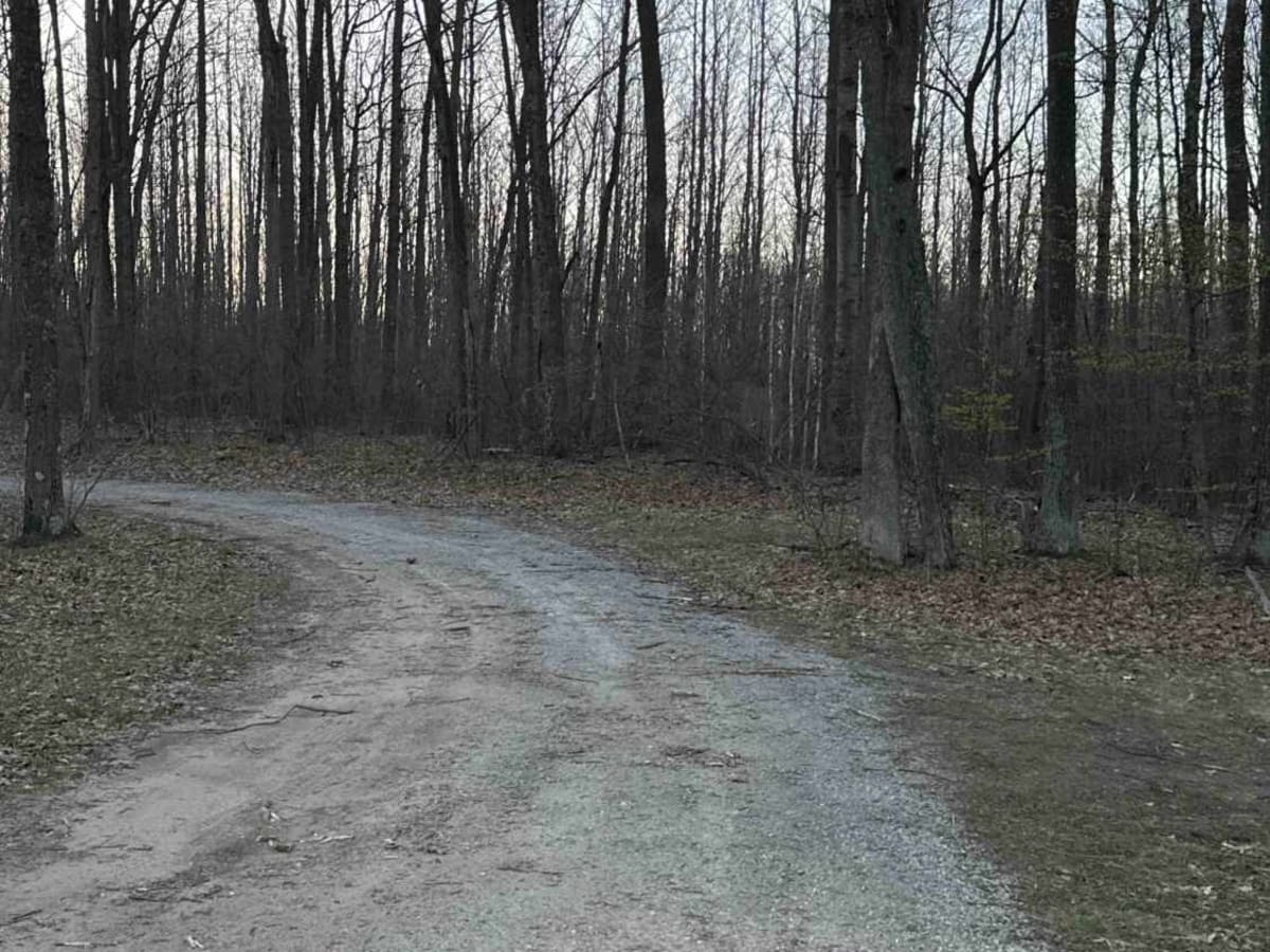 FS 4517 photo 2