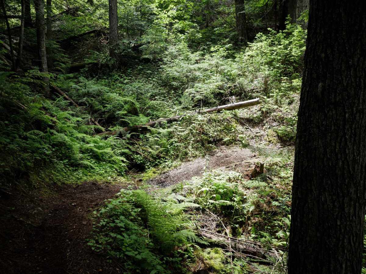 Prospect photo 6