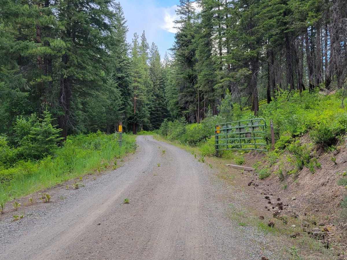 Cow Creek Road 4415040 trail photo