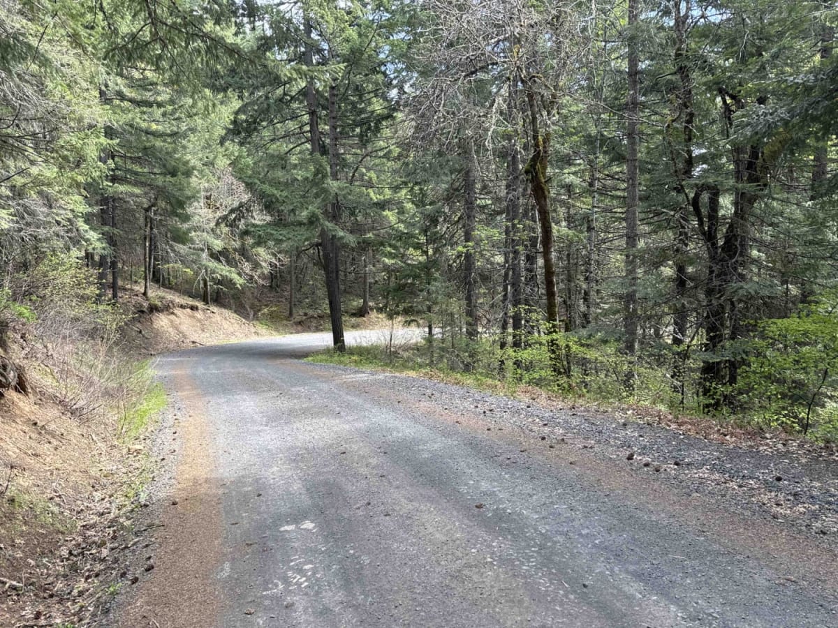 Buck Creek N-1000 to Little Baldy Peak trail photo