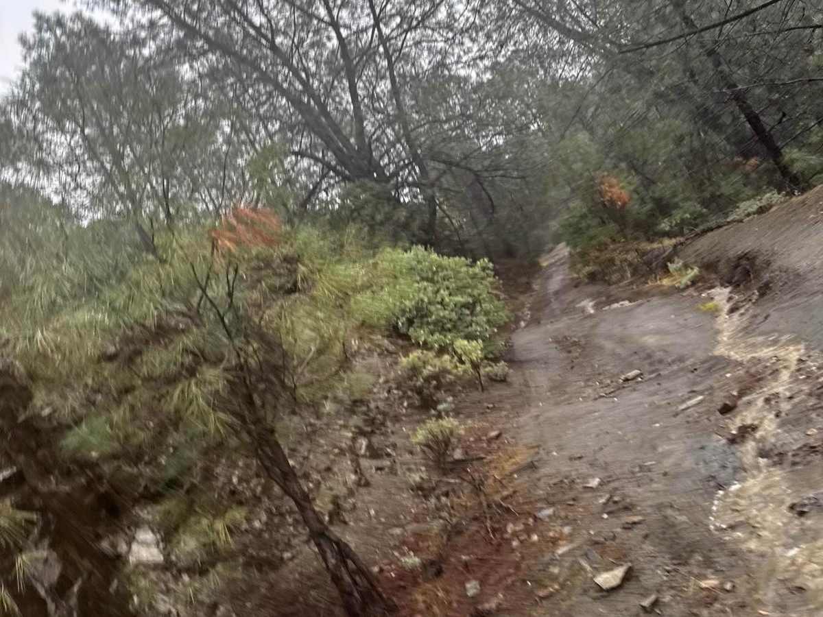 Lug Nut Ledge trail photo