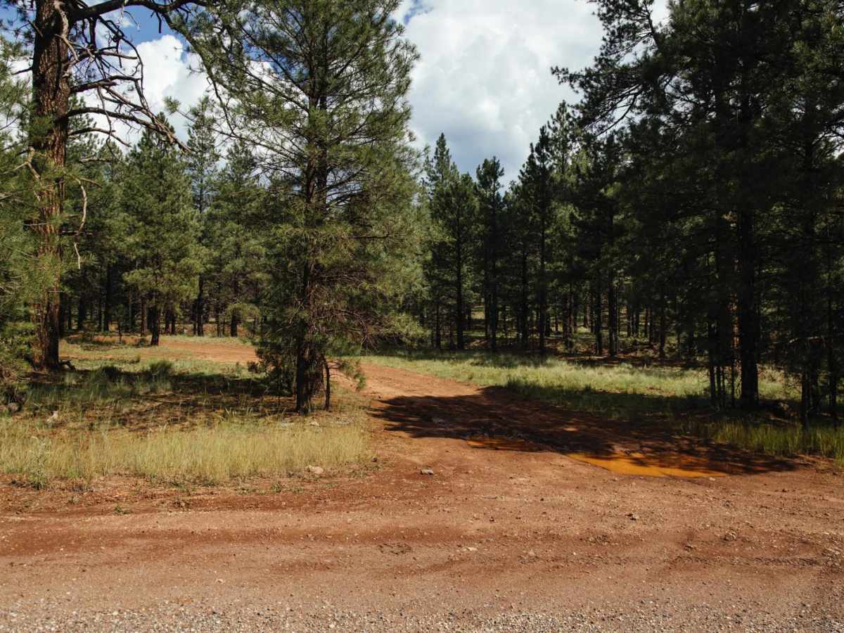 Spring Hill trail photo