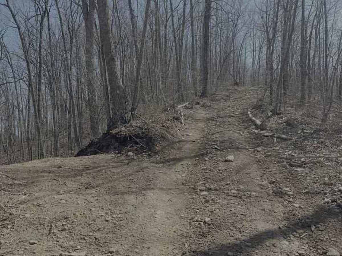 Trail 31 photo 4