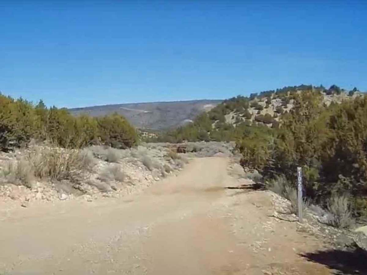 Seegmiller Mountain Road BLM 1020 photo 3