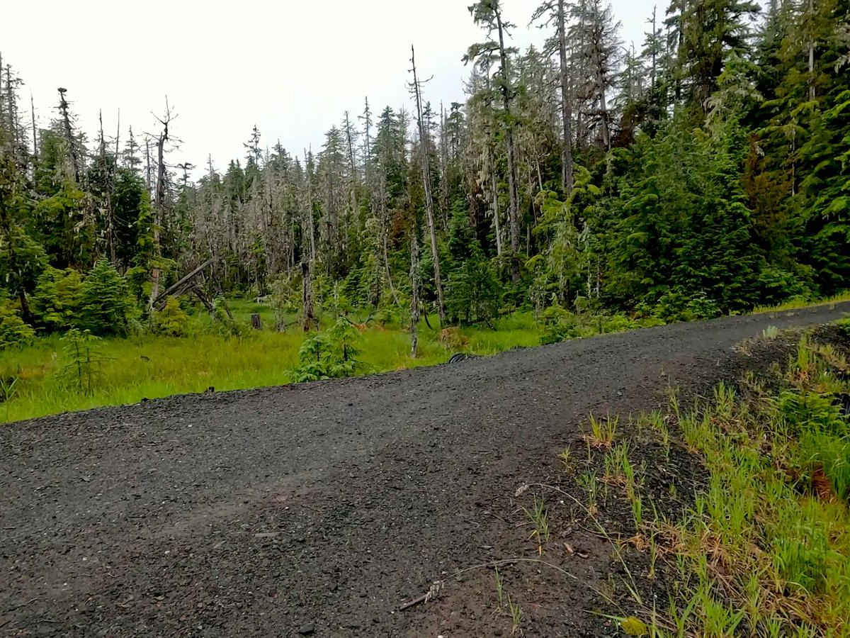 Riva Ridge 6286 photo 6