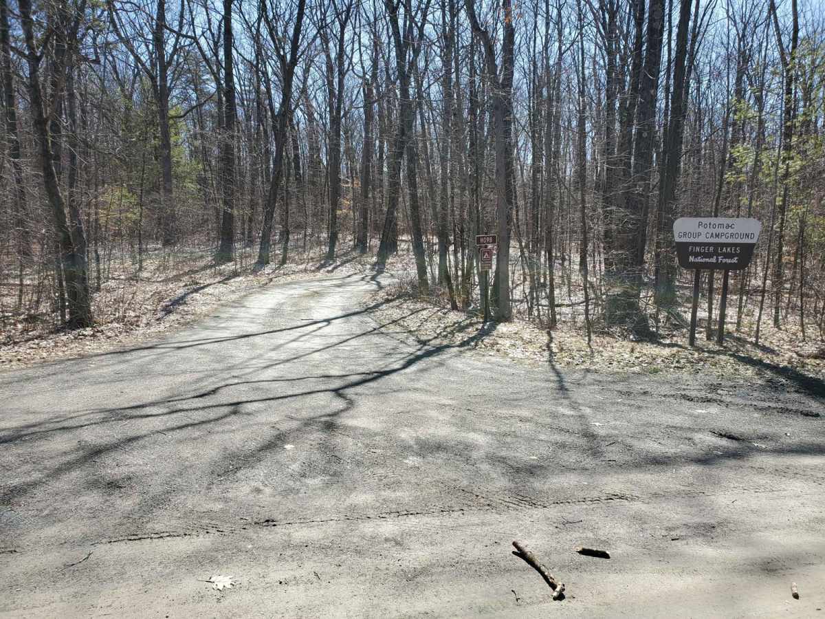 Potomac Road photo 3