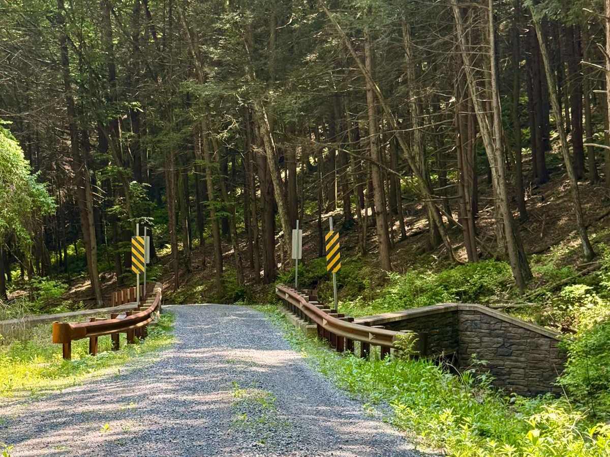Right Branch Hyner Run Road photo 5