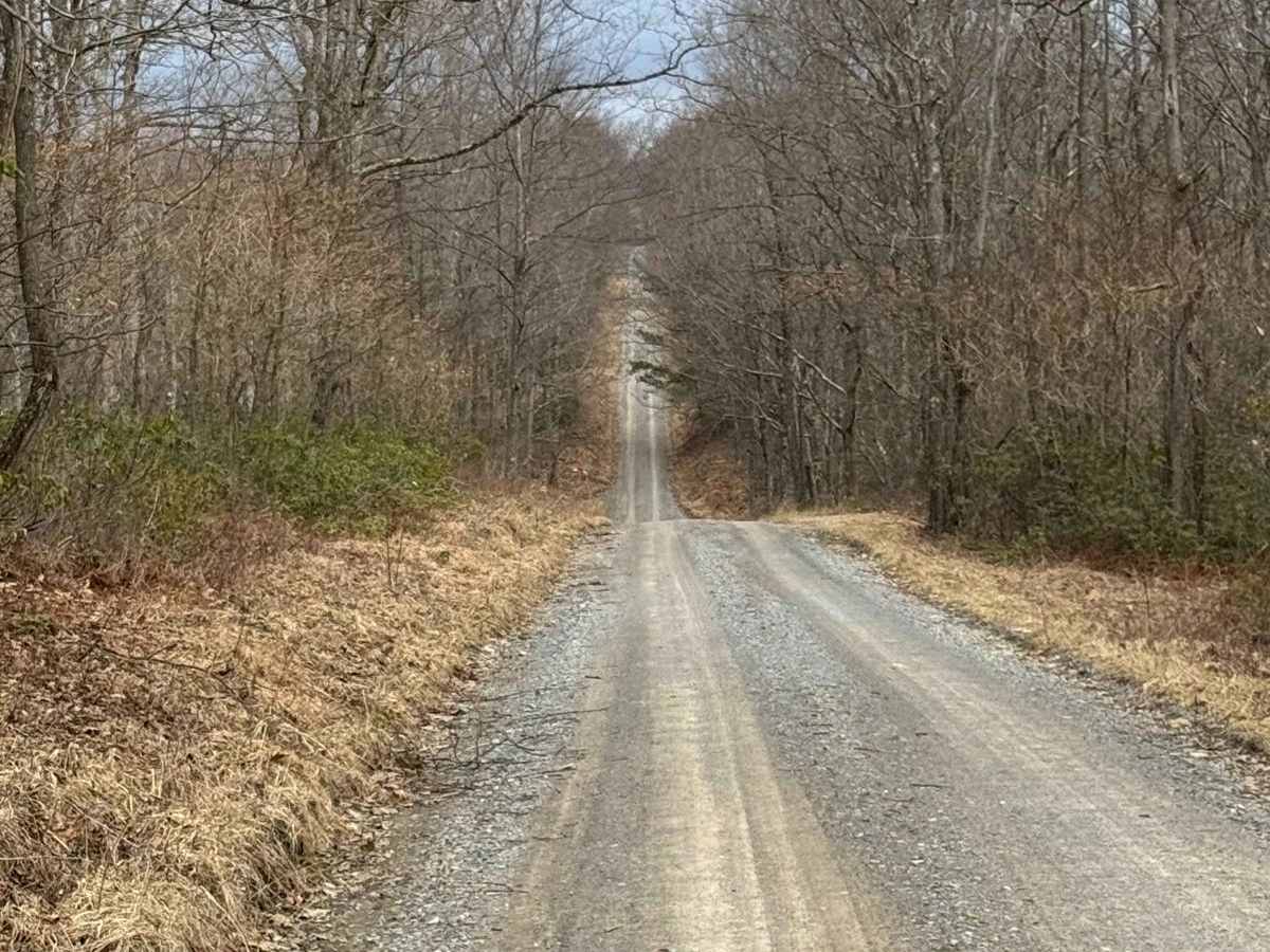Eddy Ridge Road photo 4