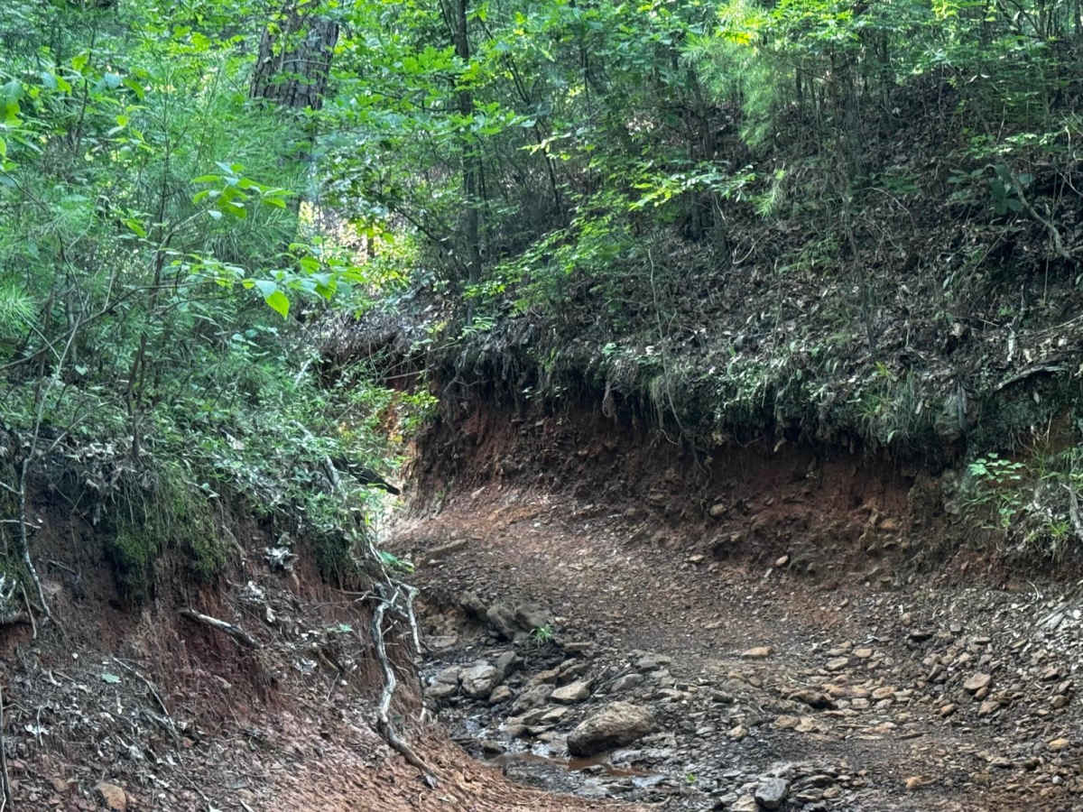 Spider Ravine trail photo