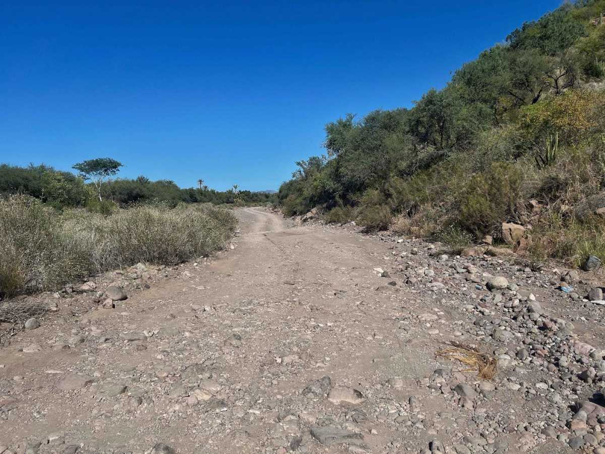 El Juncalito Escondido photo 6