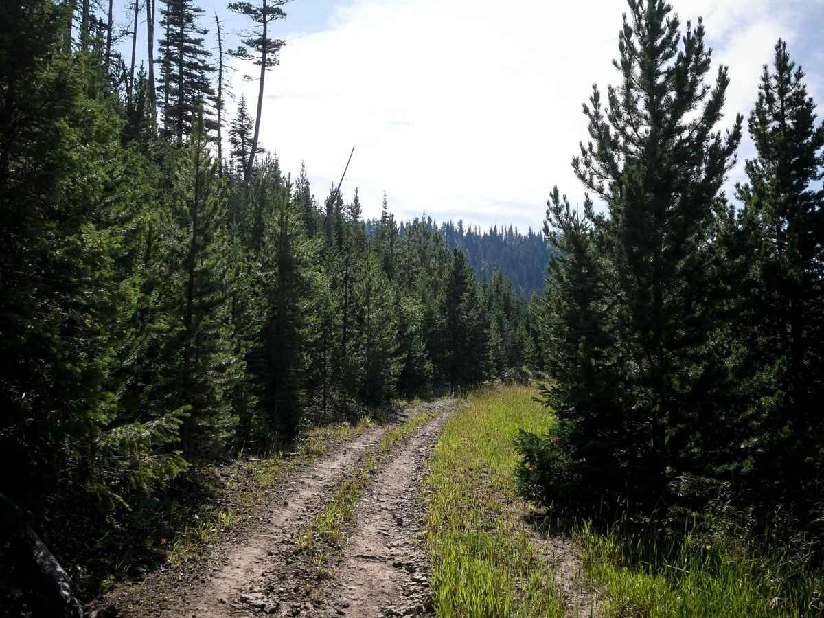 Jackson Divide ATV photo 5