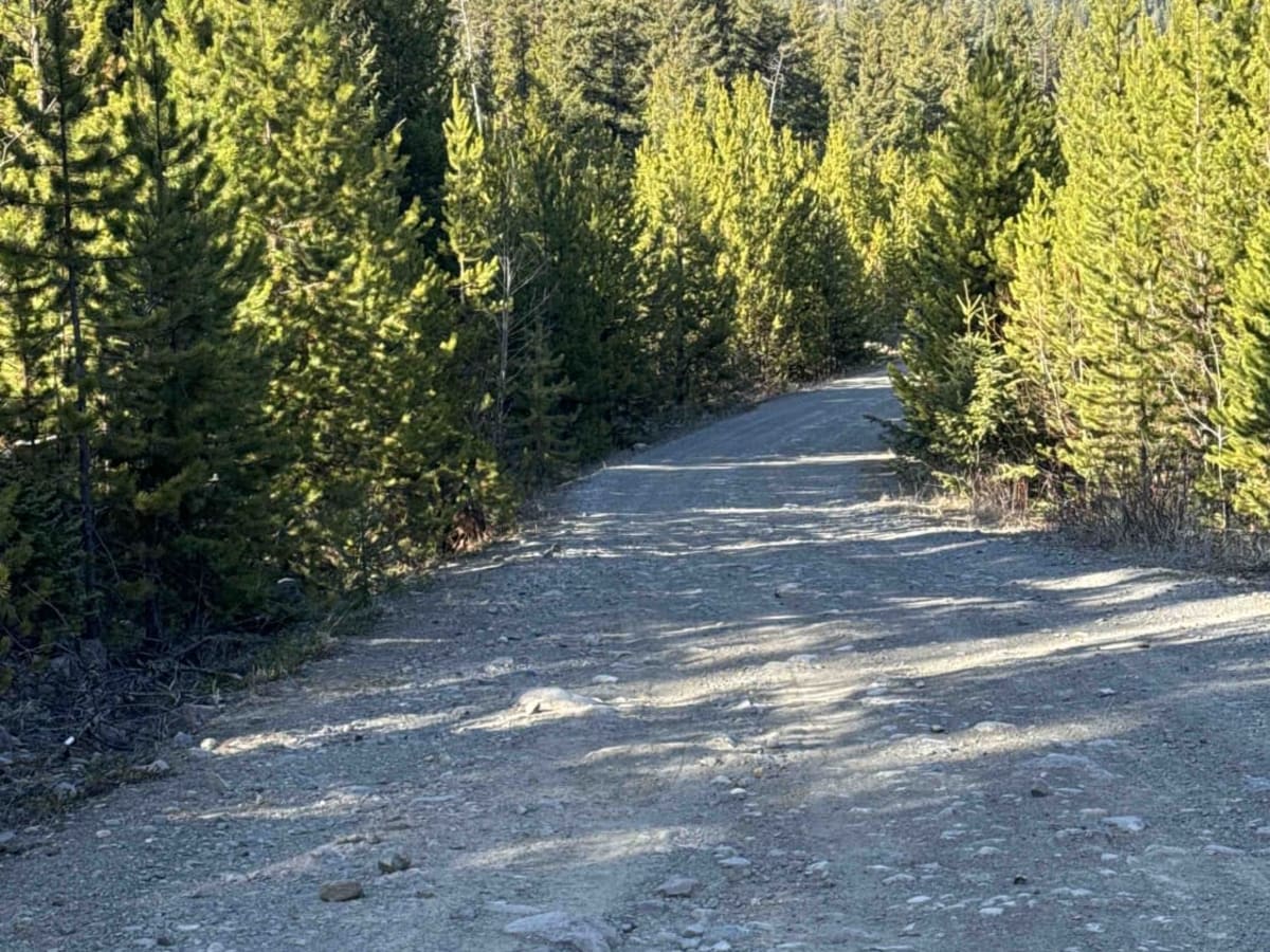 Dillard Creek FSR photo 5