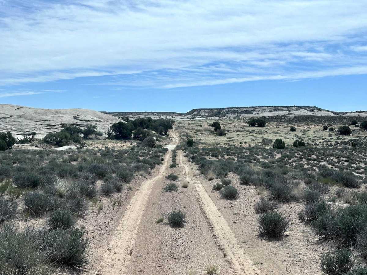 D2697 trail photo