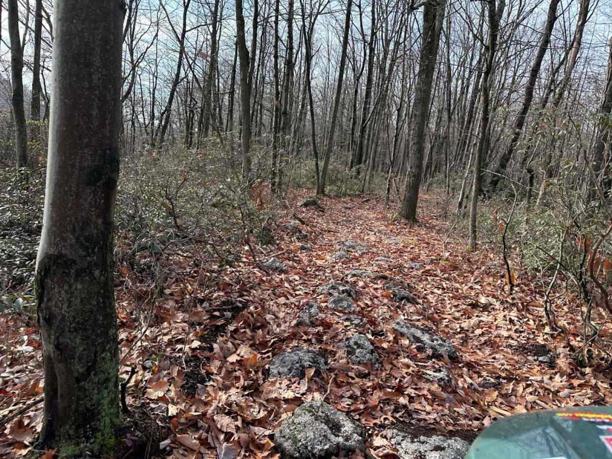 St. Keirns Single Track 3 photo 5