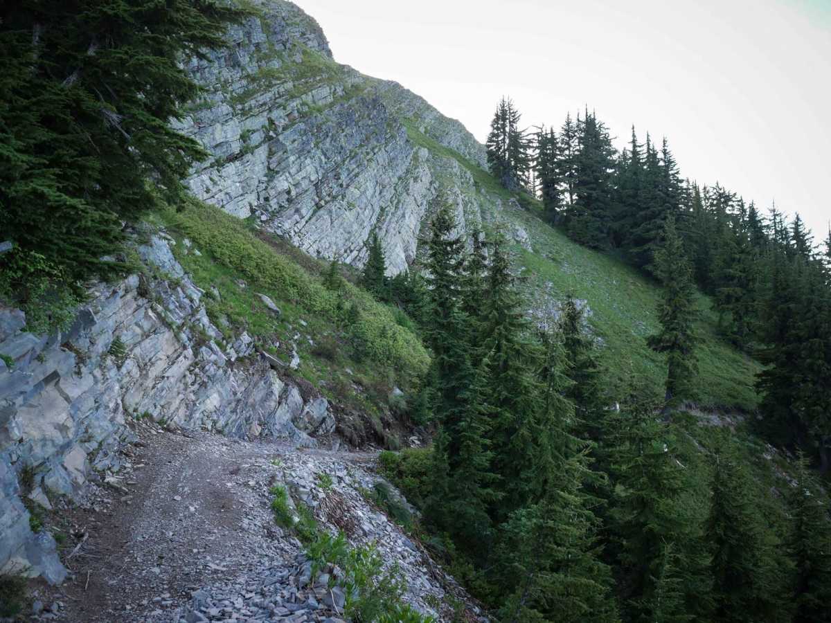 St Joe Divide NRT ATV (Slate Creek to Dam Creek) trail photo
